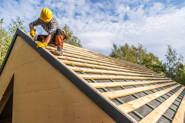Best Gutter Installation and Roofing  in Camp Hill, AL
